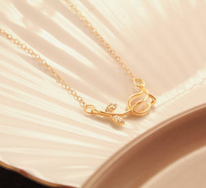 Collar Niva