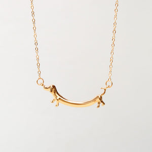 Collar Perro Salchicha