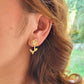 Aretes Niva