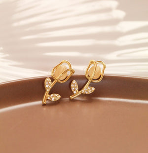 Aretes Niva