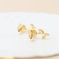 Aretes Niva