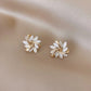 Aretes Lio