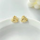 Aretes Lio