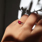 Anillo Ory