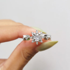 Anillo Eri