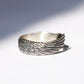 Anillo Lucio