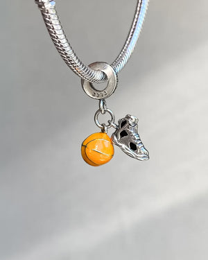 Charm basquetbolista